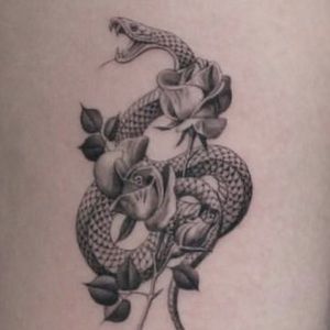 Meet your Posher, Abigail